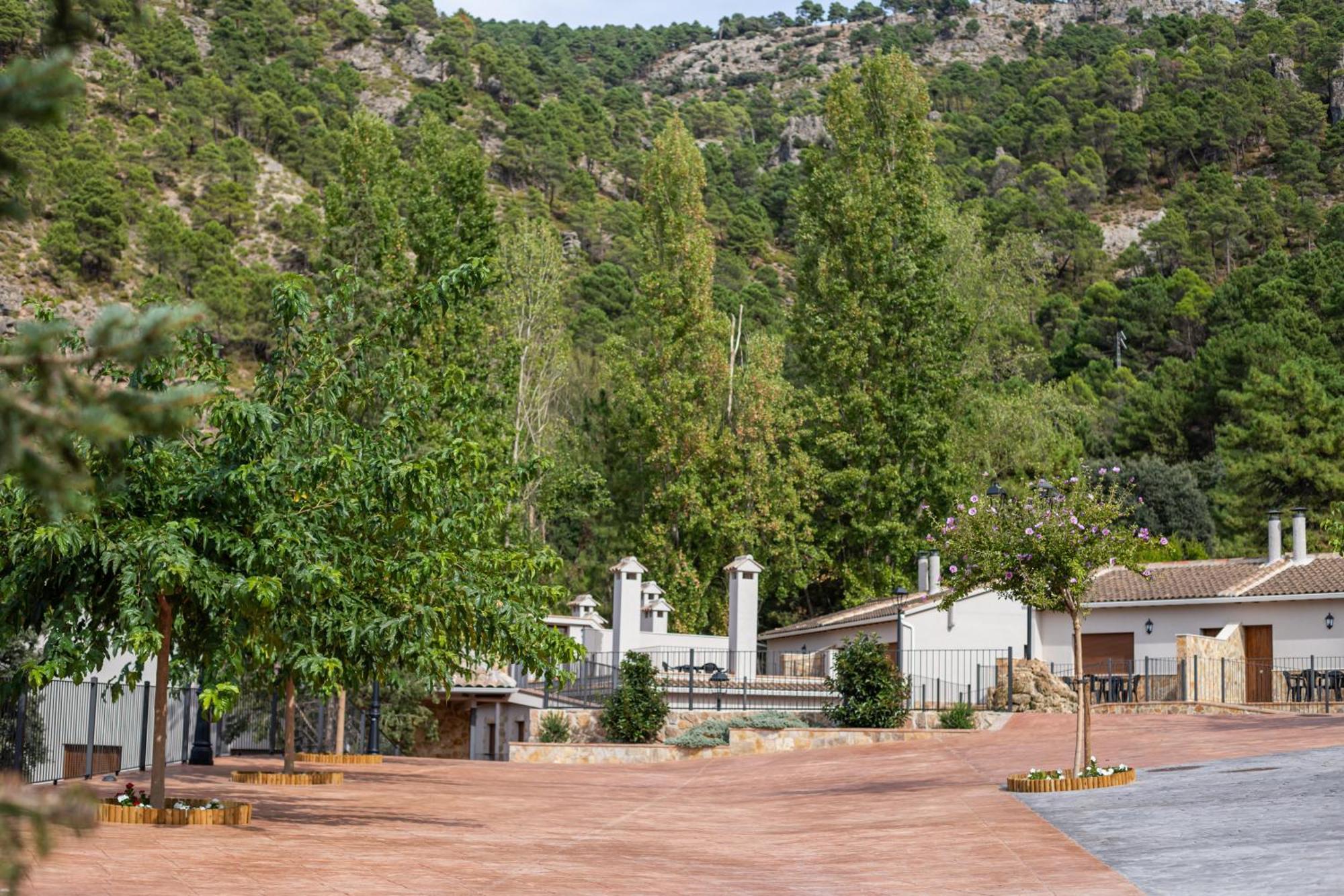 Apartamentos 7 Puentes Sierra Cazorla Casa Olivo 布伦切尔 外观 照片